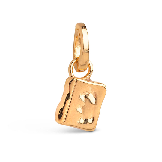 Enamel Story Keeper Vedhæng / Forgyldt